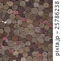 background of miscellaneous copper coins 25786238
