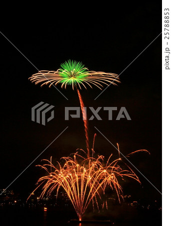 花火 花火 25788853