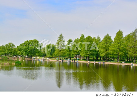 新緑の舎人公園 新緑の舎人公園 25792977