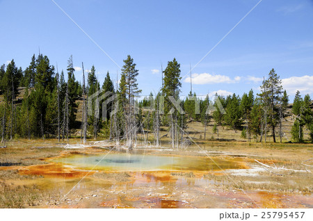 93897　イエローストーン国立公園 25795457