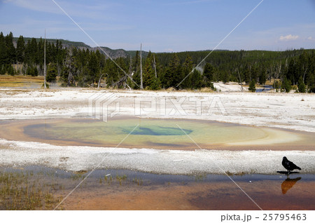 93912 イエローストーン国立公園 93912 イエローストーン国立公園 25795463