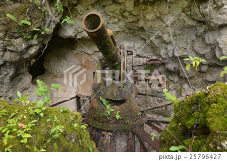 パラオ・ペリリュー島　大砲 25796427