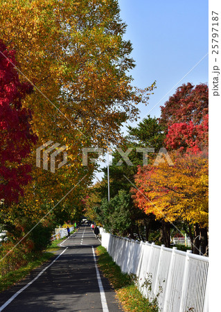 紅葉の「こころーど」 25797187