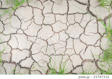 Grass in soil drought cracked texture Grass in soil drought cracked texture 25797318