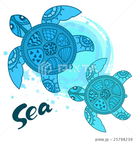 かめ Turtle のイラスト素材