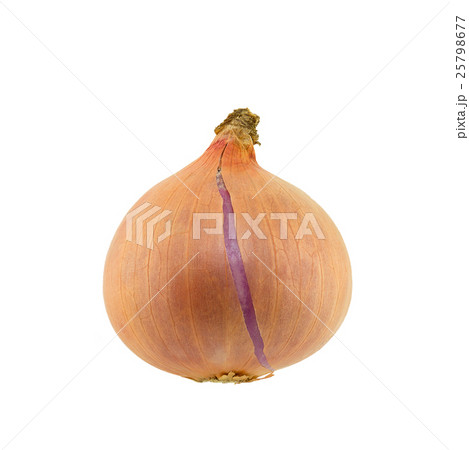 Red onion isolated on white background 25798677