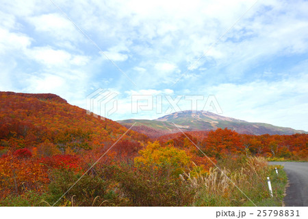 鳥海山の紅葉 鳥海山の紅葉 25798831