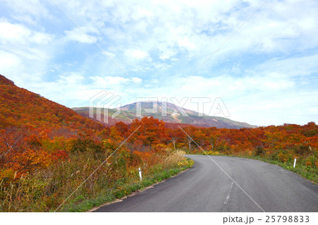 鳥海山の紅葉 鳥海山の紅葉 25798833
