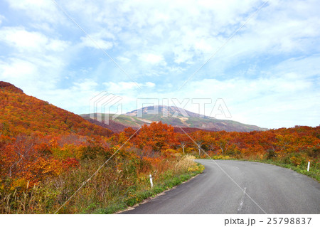 鳥海山の紅葉 鳥海山の紅葉 25798837