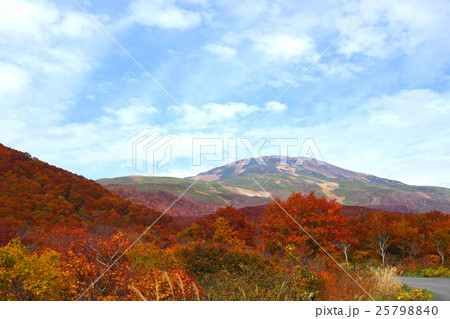 鳥海山の紅葉 鳥海山の紅葉 25798840