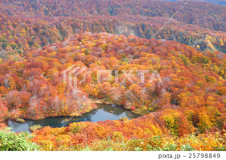 鳥海山の紅葉 鳥海山の紅葉 25798849