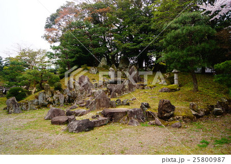 彦根城 楽々舎 庭園 彦根城 楽々舎 庭園 25800987