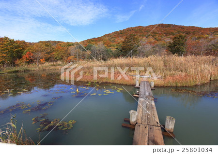 鳥海高原家族旅行村　心字池の紅葉 25801034