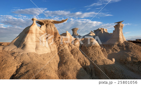 Bisti Wing 25801056