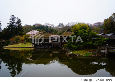 彦根城 玄宮園 彦根城 玄宮園 25801099