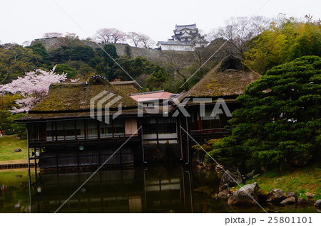 彦根城 玄宮園 彦根城 玄宮園 25801101