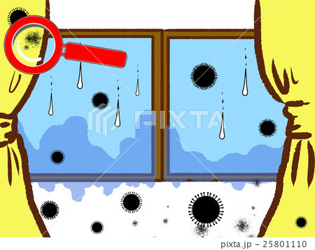 カビた窓をチェック 25801110