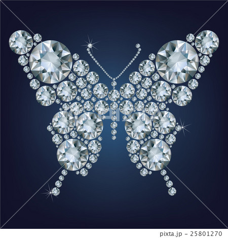 Diamond butterfly, vector illustration 25801270