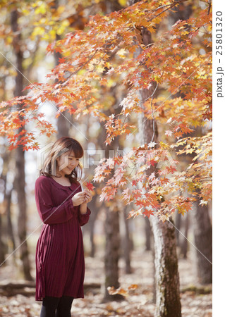 紅葉＿女性 25801320