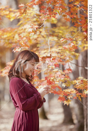 紅葉＿女性 25801322