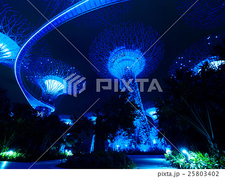 シンガポール・スーパーツリー 25803402