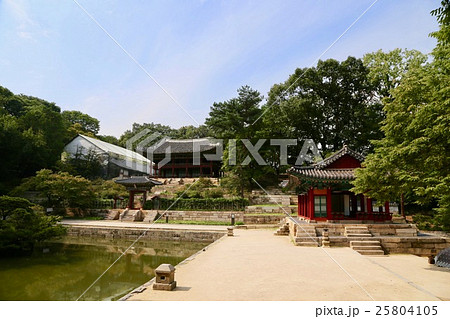 芙蓉池 芙蓉池 25804105