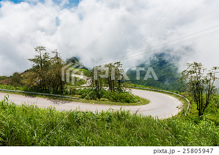 The landscape in morning time at Phu Tub Berk The landscape in morning time at Phu Tub Berk 25805947