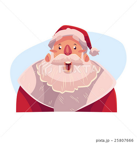 Santa Claus face, surprised facial expression Santa Claus face, surprised facial expression 25807666