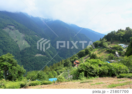 遠山郷 下栗の里 25807700