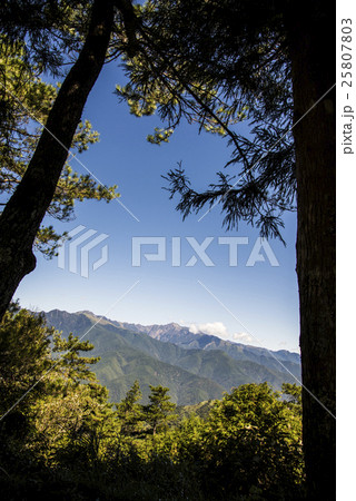 原生林 原始林 ジャングル 25807803