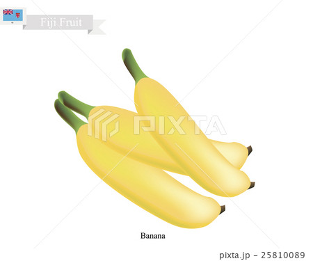 Golden Banana, A Popular Fruits in Fiji 25810089
