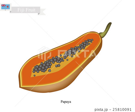 Ripe Papaya, A Famous Fruit in Fiji 25810091
