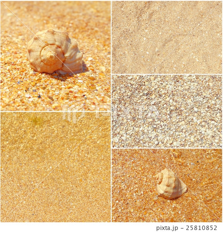 Collage of summer sea photos, seashells on sand 25810852