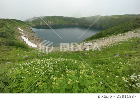高山植物を前景にしたみくりが池、立山室堂平、富山県 高山植物を前景にしたみくりが池、立山室堂平、富山県 25811837