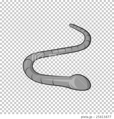Worm icon, black monochrome style 25813877