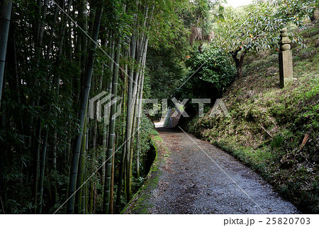 高野山 町石と町石道 高野山 町石と町石道 25820703