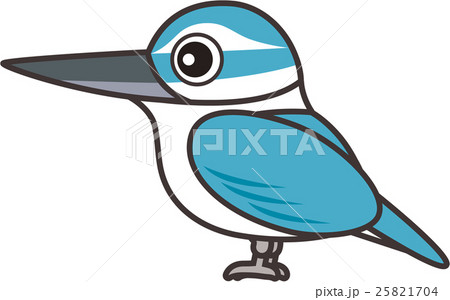 ナンヨウショウビンのイラスト 25821704