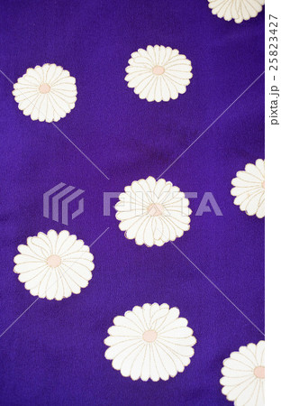 日本の紋様　絹織物　染め物　古布　　和柄　菊　 25823427