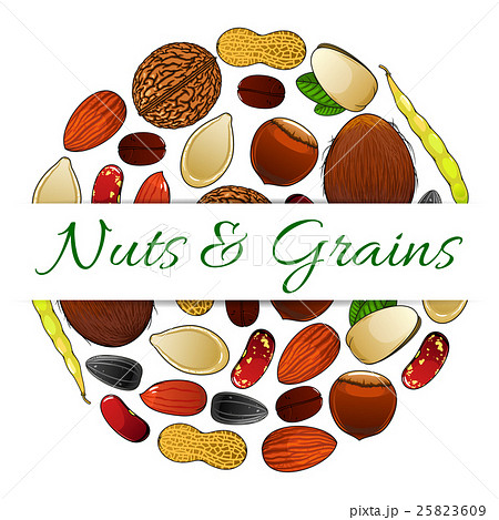 Nutritious nuts and grains elements vector label Nutritious nuts and grains elements vector label 25823609