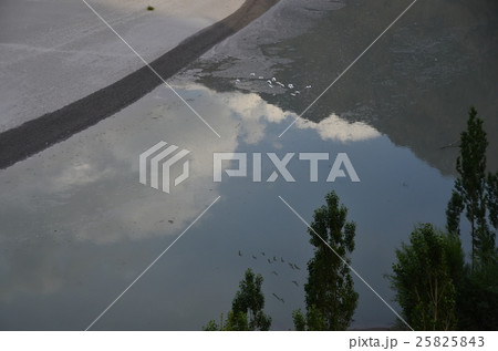 パキスタン　スカルドゥ　インダス川と野鳥の群れ 25825843