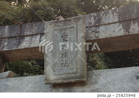 日本三大愛宕の福岡市「愛宕神社」 25825948