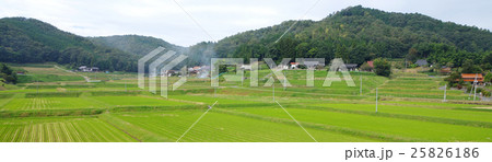 田園風景　バナー　稲刈り後の田んぼ　農家　山並み 25826186