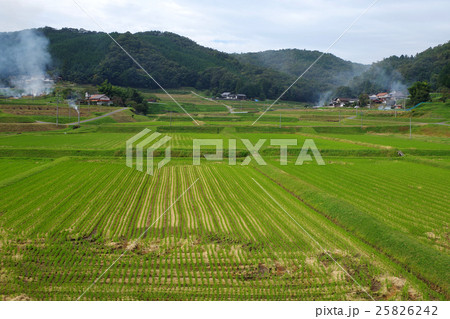 田園風景　稲刈り後の田んぼ　農家　山並み 25826242