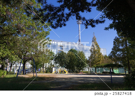 名古屋市都市風景 花の木公園と西区役所 名古屋市都市風景 花の木公園と西区役所 25827418