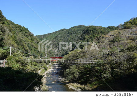 吊り橋 吊り橋 25828167