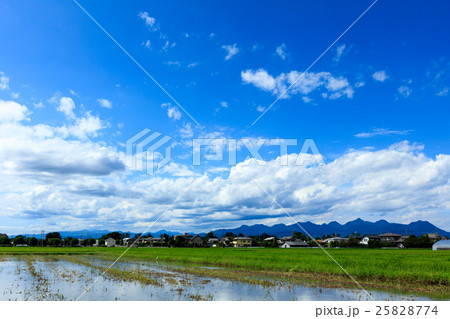 田んぼと榛名山 田んぼと榛名山 25828774
