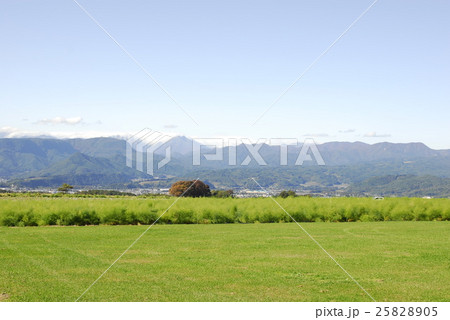 昭和村の風景 昭和村の風景 25828905