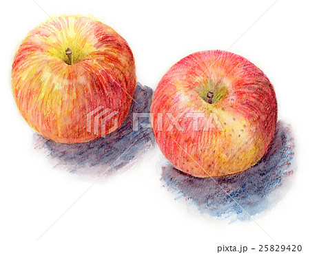 How to Draw an Apple  Our Fun Fruit Illustration Tutorial