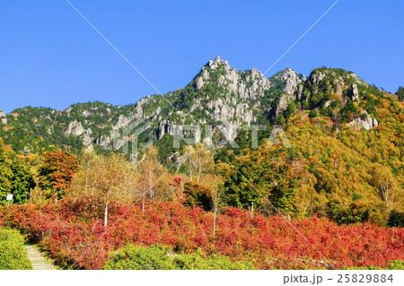 紅葉と岩山 25829884