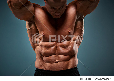 torso of attractive male body builder torso of attractive male body builder 25829897
